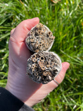 Load image into Gallery viewer, White Sage Large Smudge Wand