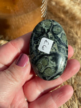 Load image into Gallery viewer, Kambaba Jasper Palm Stone