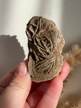 Load image into Gallery viewer, Desert Rose Large Formation