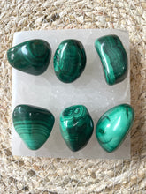 Load image into Gallery viewer, Malachite Tumble Stone
