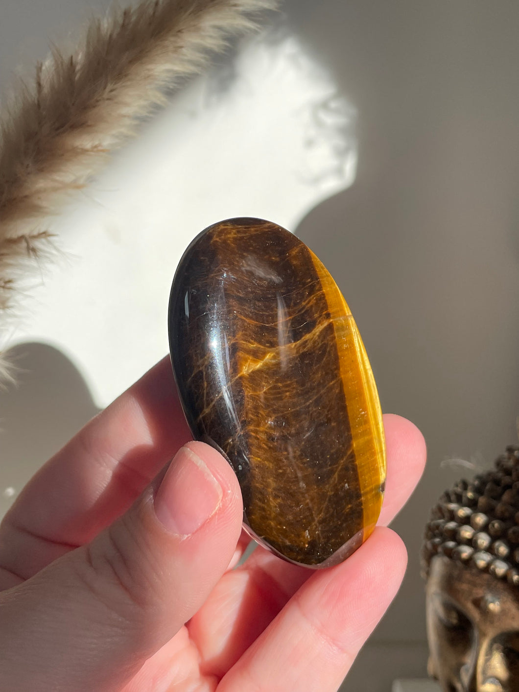 Tiger Eye Palm Stone