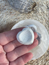 Load image into Gallery viewer, Howlite Mini Worry Stone
