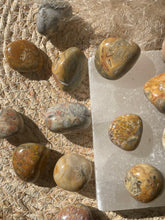 Load image into Gallery viewer, Crazy Lace Agate Tumble Stone
