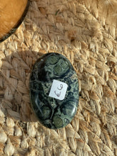 Load image into Gallery viewer, Kambaba Jasper Palm Stone
