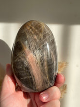 Load image into Gallery viewer, Black Moonstone Free Form
