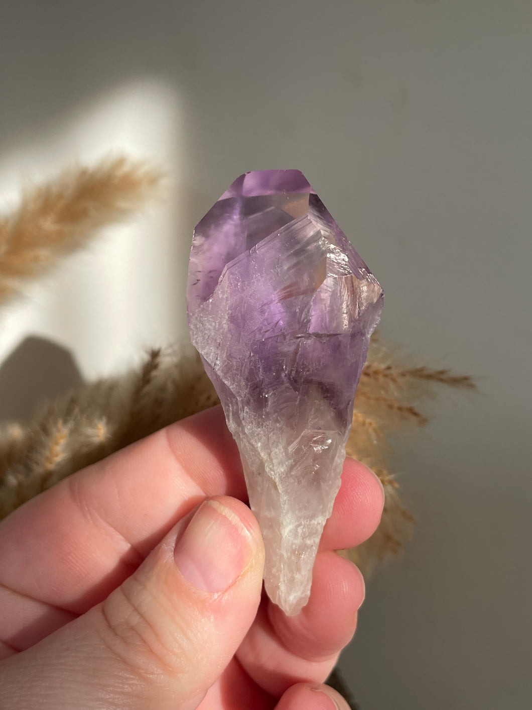 Amethyst Tooth
