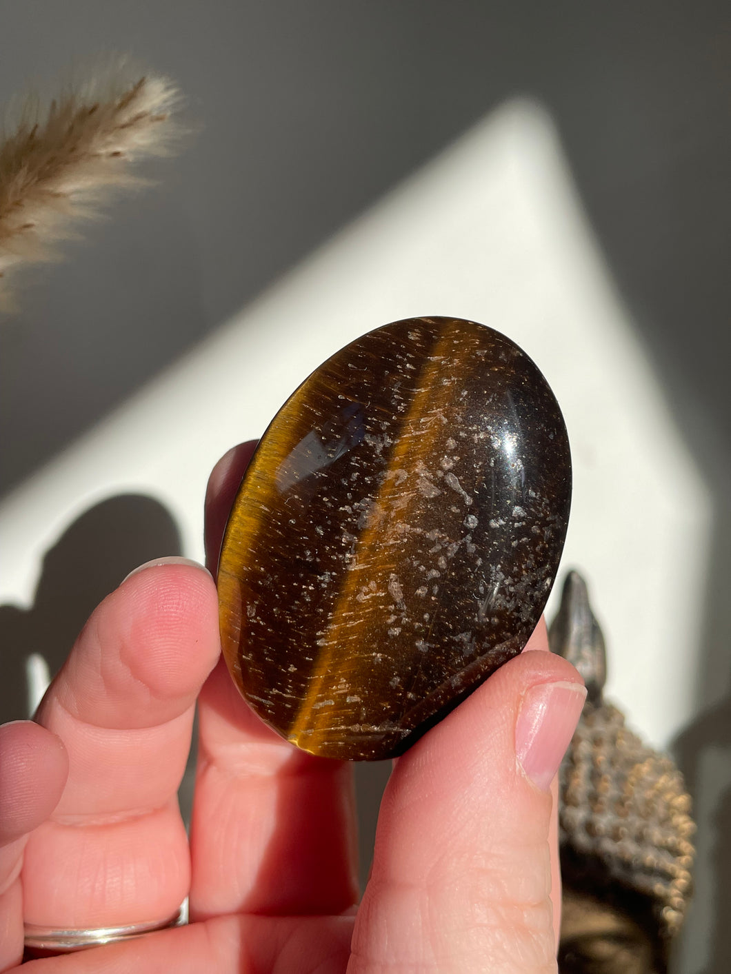 Tiger Eye Palm Stone