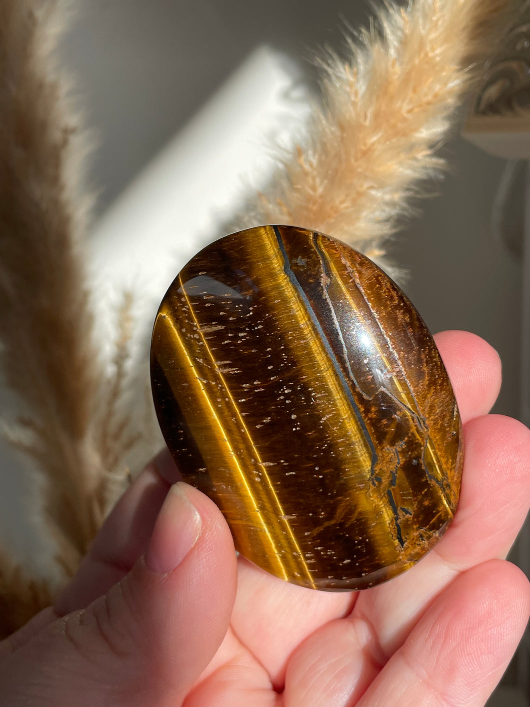 Tiger Eye Palm Stone