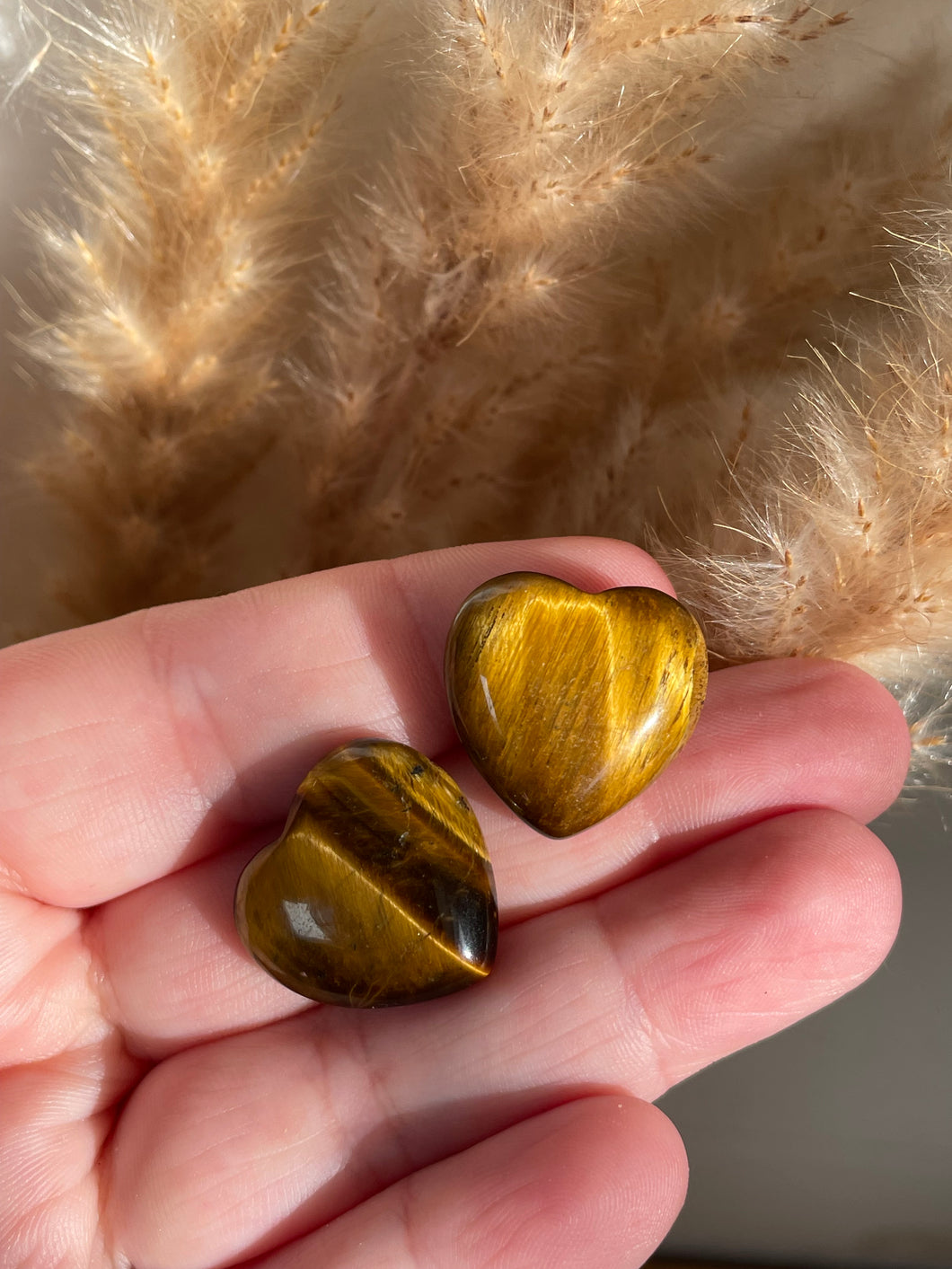 Tigers Eye Mini Heart Carving