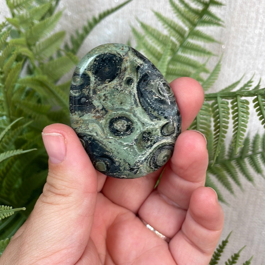 Kambaba Jasper Worry Stone
