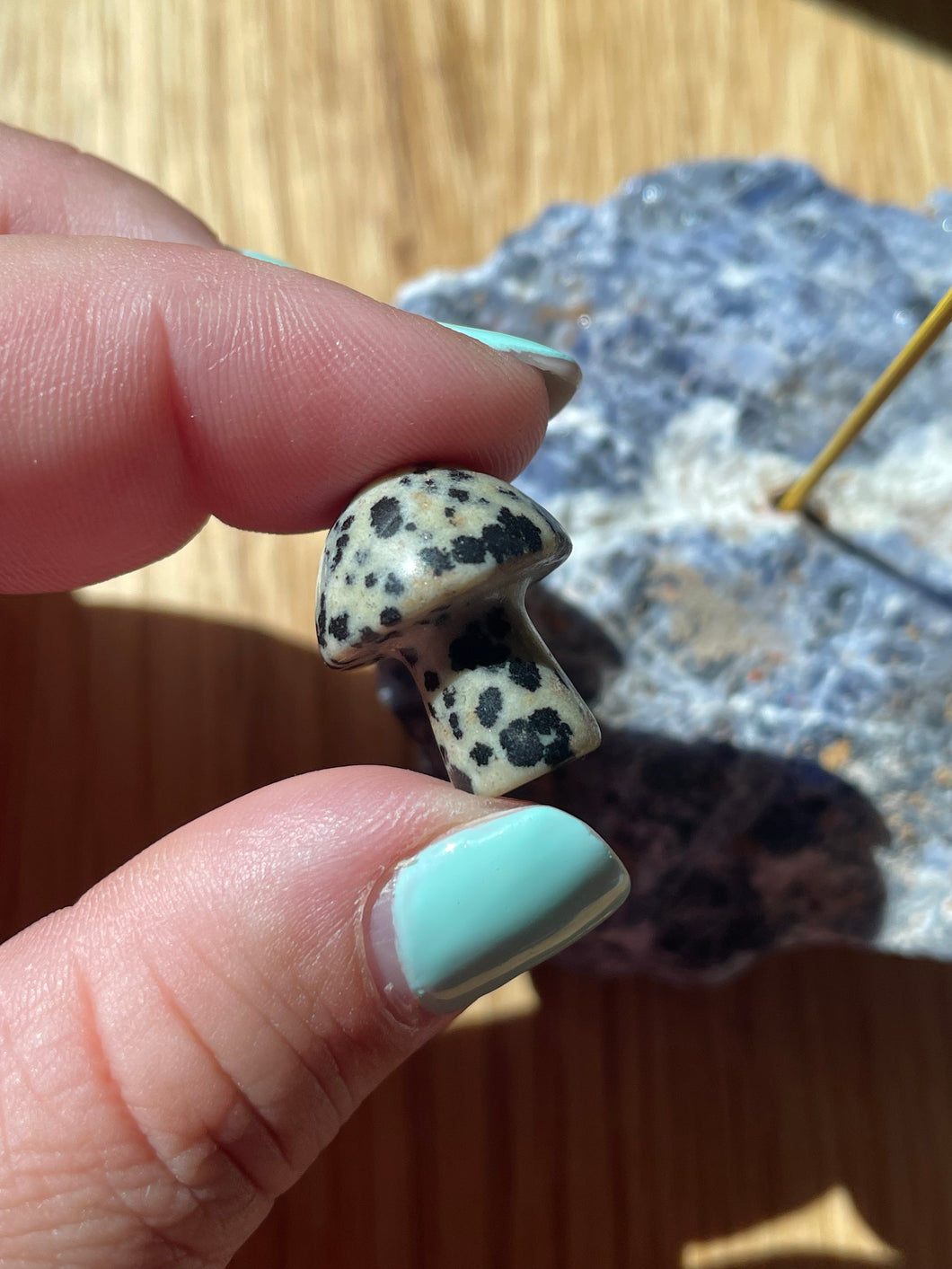 Dalmatian Jasper Mushroom Carving