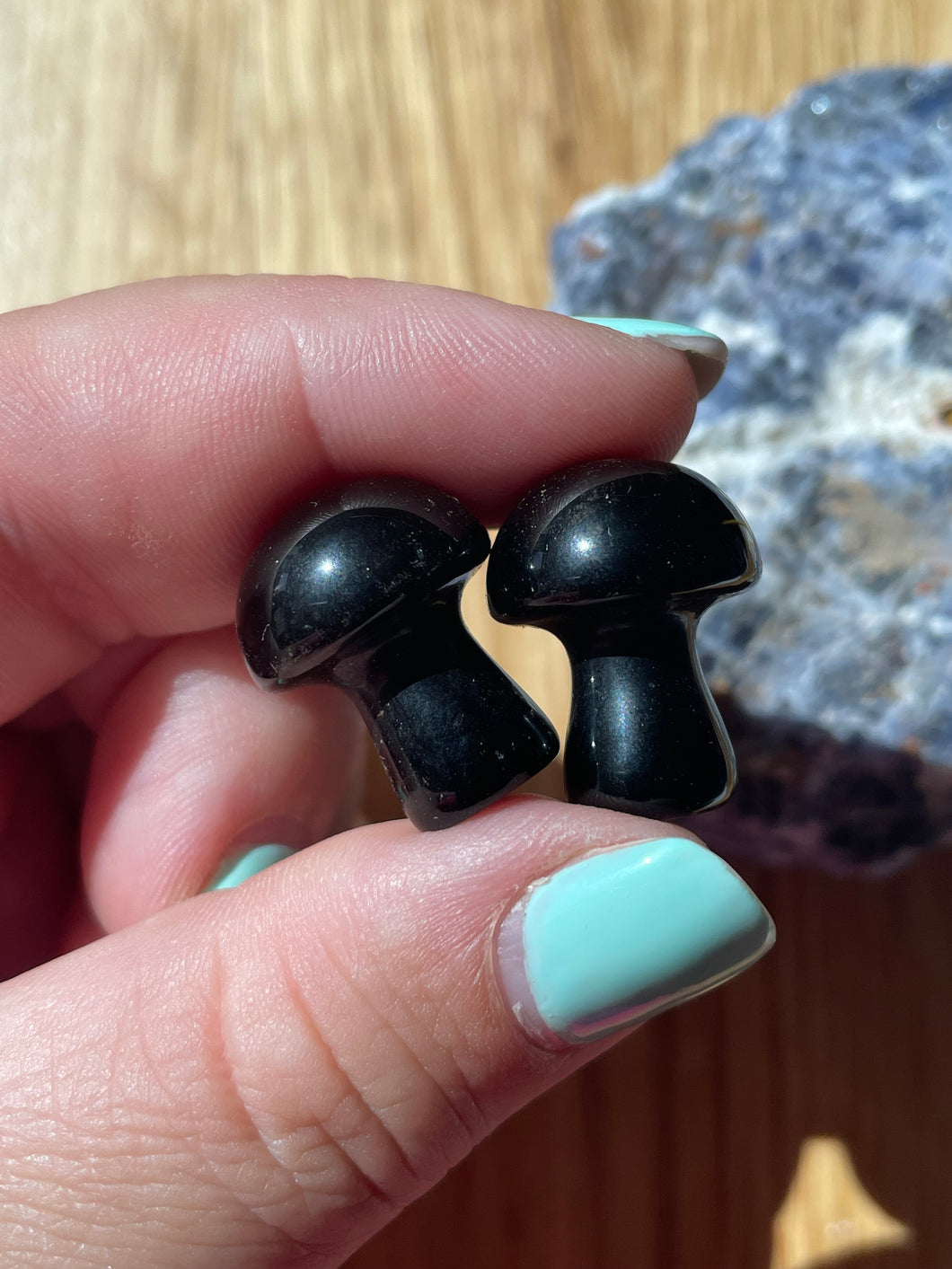 Obsidian Mushroom Carving