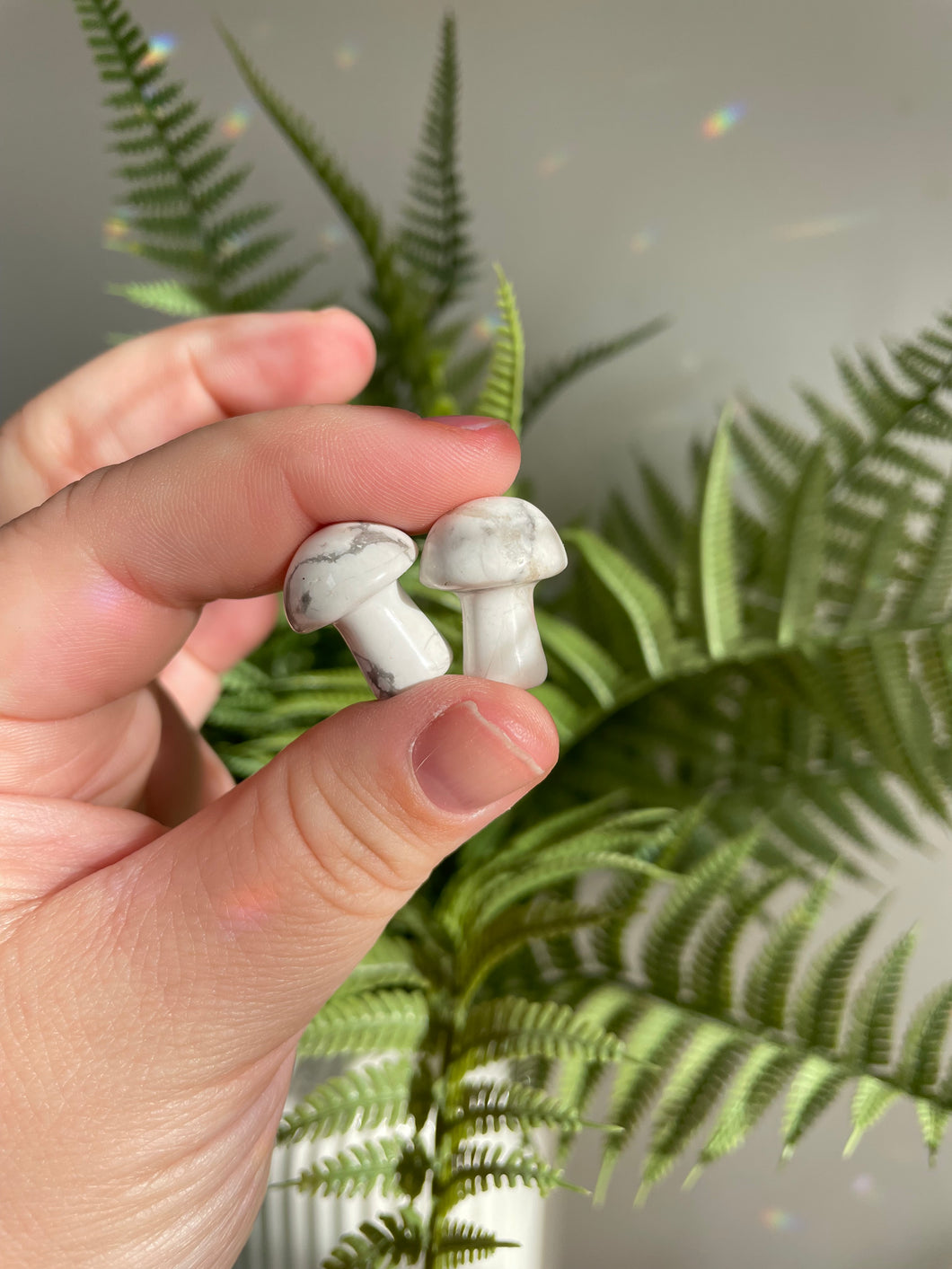 Howlite Mushroom Carving