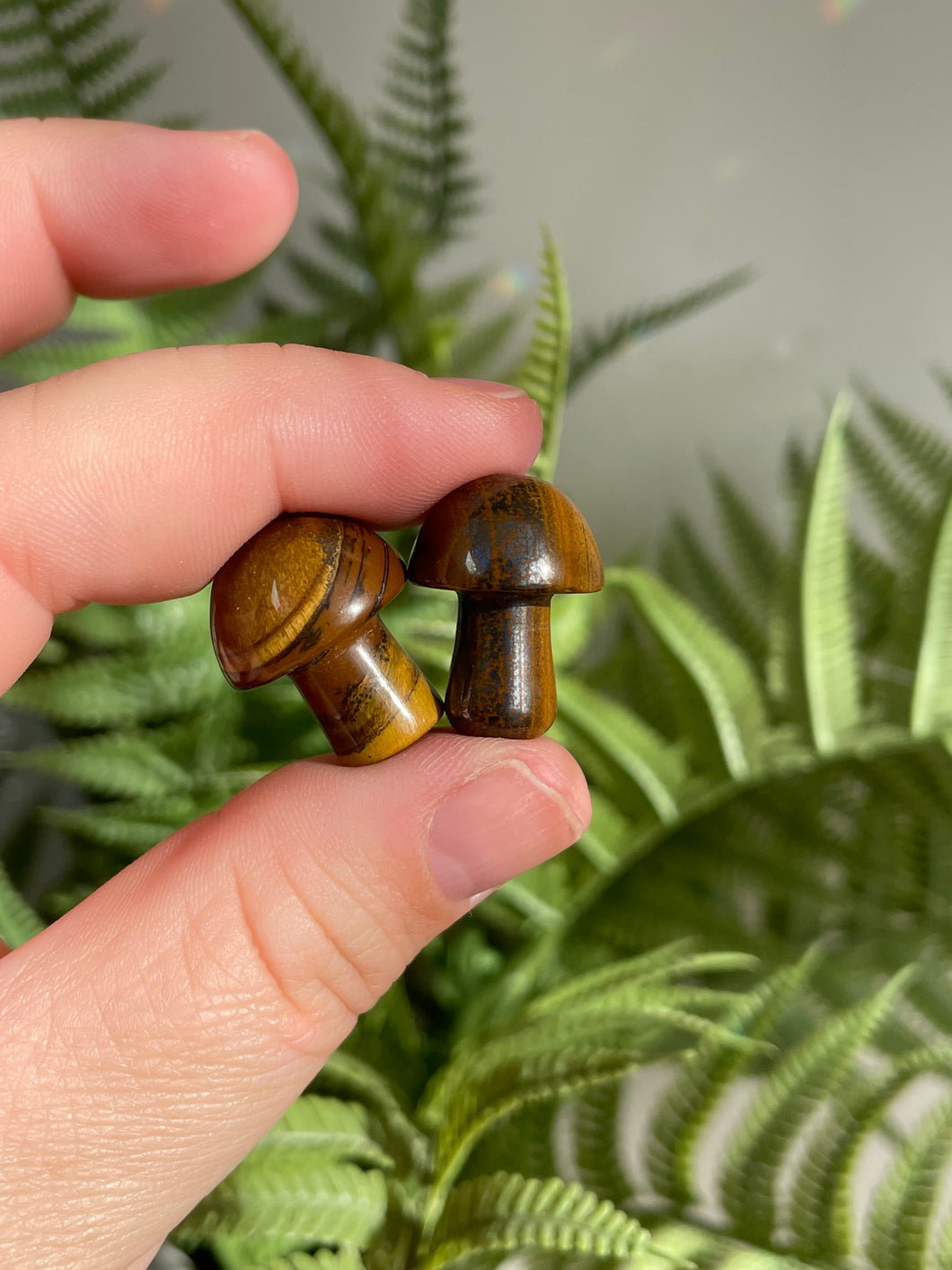 Tigers Eye Mushroom Carving