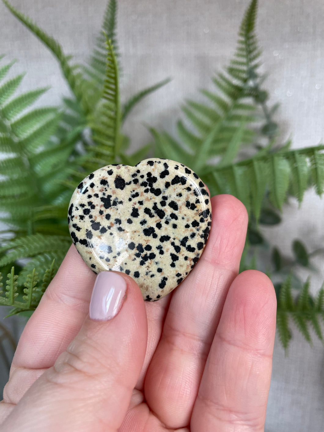 Dalmatian Jasper Worry Stone