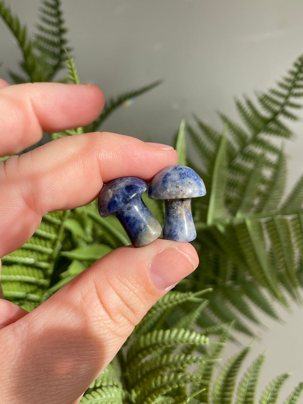 Sodalite Mushroom Carving